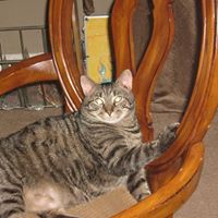 Daniel Burch Photo 28