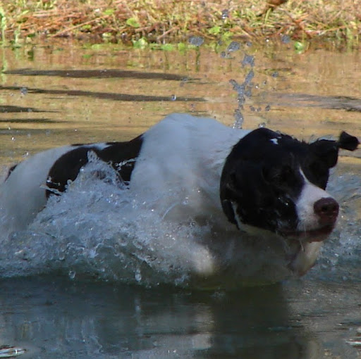 Kathy Conley Photo 18