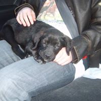 Catherine Chevalier Photo 18