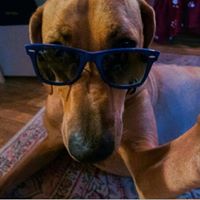 Joshua Green Photo 31