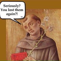 Diane Mcconnell Photo 22