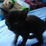 Franklin Bean Photo 8