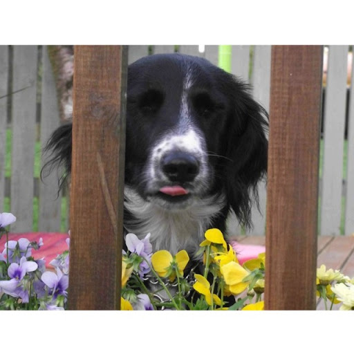 Mandy Sanders Photo 18