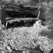 Sheryl Strand Photo 17