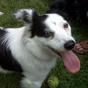 Stacey Goldstein Photo 21