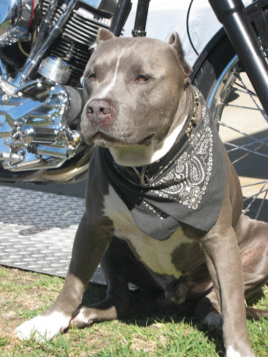 Darren Phillips Photo 30 Darren Phillips Photo 30