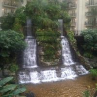 Denise Landers Photo 16