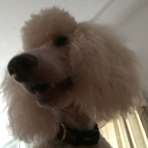 Suzanne Schulz Photo 27