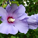 Sharon Bird Photo 13