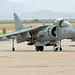 Douglas Hawk Photo 22