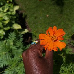 Pauline Noel Photo 14