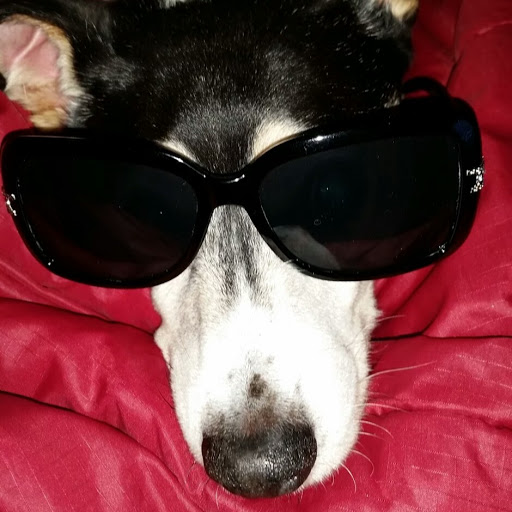 Jeanette Summers Photo 10