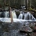 Shirley Brooks Photo 27
