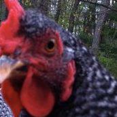 Beth Putnam Photo 17