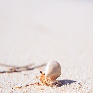 Florence Smith Photo 12