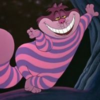 Sandra Swanson Photo 21