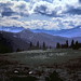 Allison Parks Photo 10