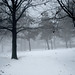 Paul Wolff Photo 31