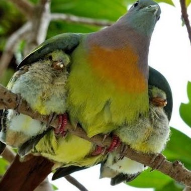 Julie Latham Photo 27