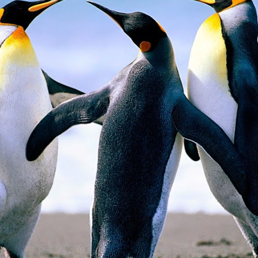 Juan Martin Photo 27