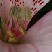 Janet Harper Photo 29