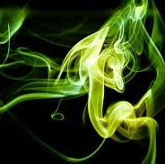 John Greiner Photo 11 John Greiner Photo 11