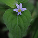 Violet Grant Photo 6
