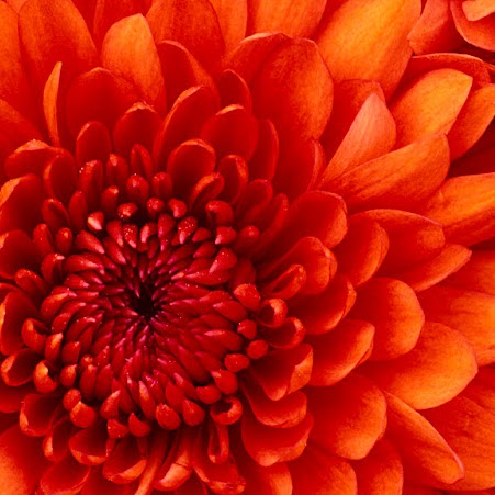 Christina Parry Photo 9