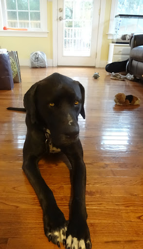 Kristi Moore Photo 28