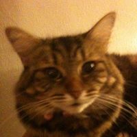 Tillie Smith Photo 7