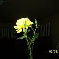 Kathi Sharp Photo 14