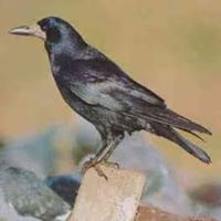 James Finnegan Photo 24