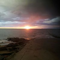 Jill Whitehead Photo 29