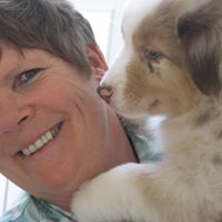 Cheryl Gamble Photo 15