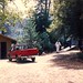 Nancy Redding Photo 7