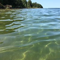 Margaret Stringer Photo 21