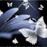 Bhavya Aggarwal Photo 17