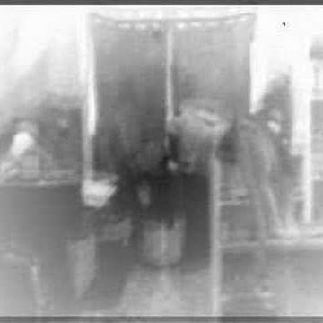 Mitchell Ellis Photo 35