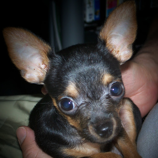 Larry Stamper Photo 10