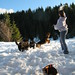Andrea Burns Photo 24
