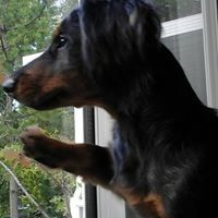 Susan Seguin Photo 11