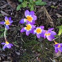 Katherine Murray Photo 24