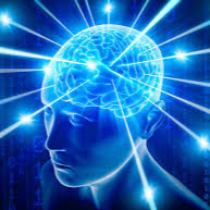 Terence O'Brien Photo 16