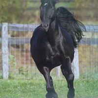 Barbara Shepherd Photo 2