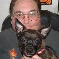 Susan Farber Photo 11