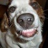 Jeffrey Pickering Photo 6