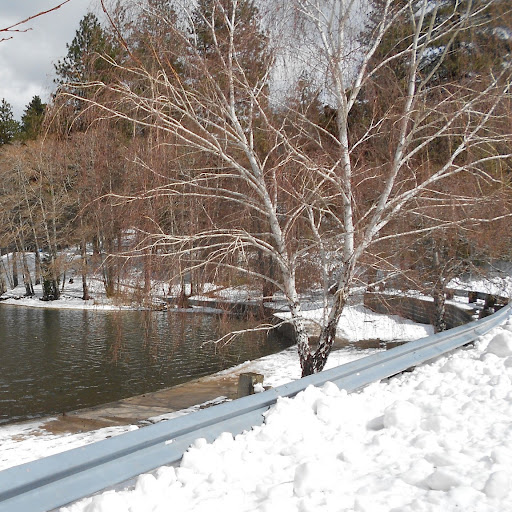 Janice Lint Photo 1