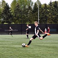 Alison Webster Photo 5