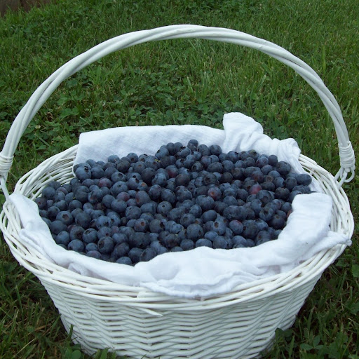 Kristin Burton Photo 20