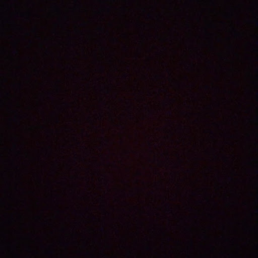 Ellen Leonard Photo 44